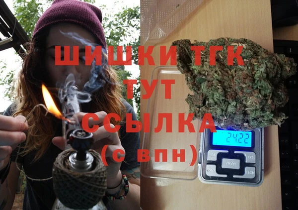 сатива Заводоуковск