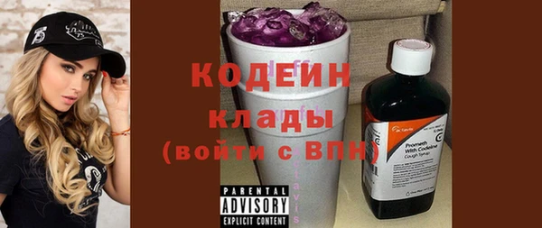 сатива Заводоуковск