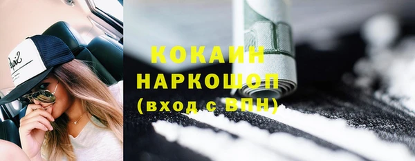 сатива Заводоуковск