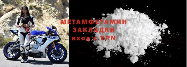 сатива Заводоуковск