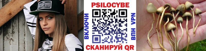 Псилоцибиновые грибы прущие грибы  Купить закладки  Перевоз 